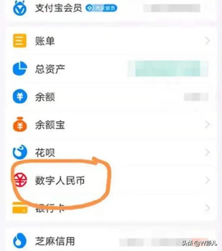 数字人民币和支付宝微信是一样的吧？