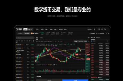 数字化时代：OK币交易所app及OKX交易所应用程序介绍